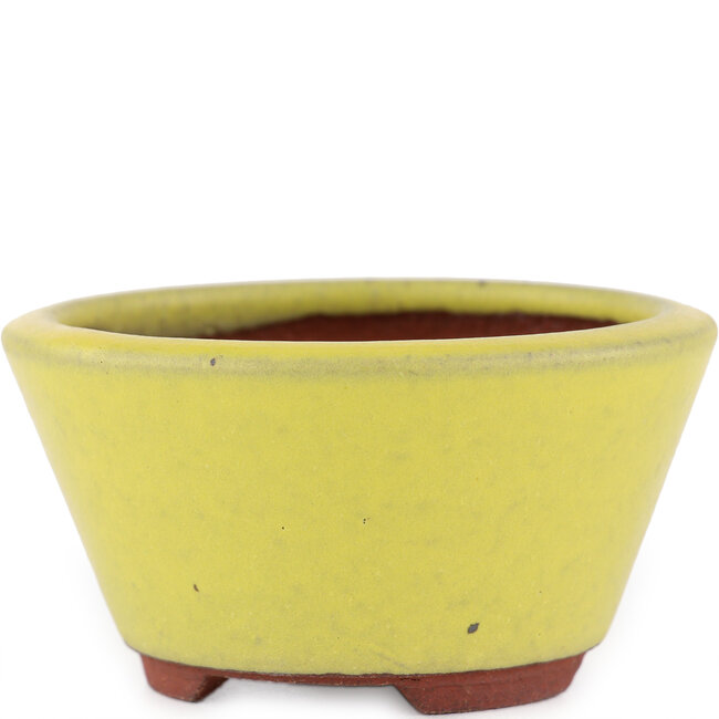 Ronde gele bonsaipot van Eime Yozan - 90 x 90 x 45 mm