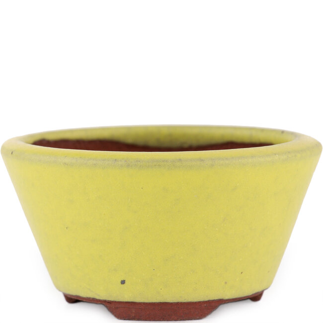 Round yellow bonsai pot by Eime Yozan - 90 x 90 x 45 mm