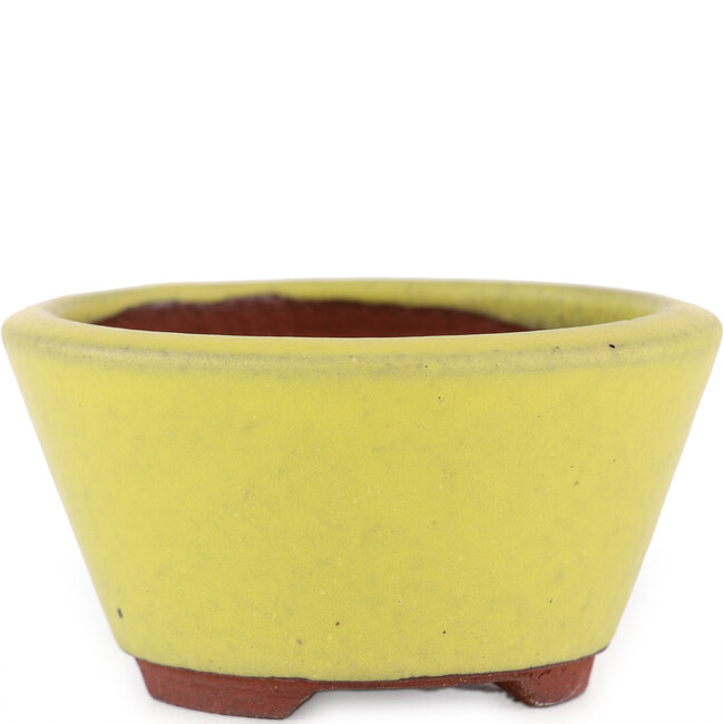 Runder gelber Bonsaitopf von Eime Yozan – 90 x 90 x 45 mm