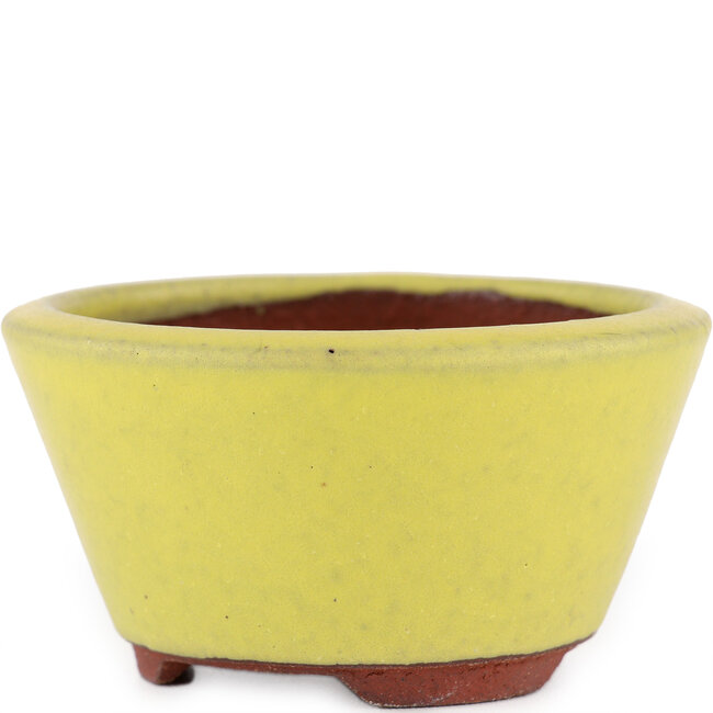 Maceta redonda para bonsái amarilla de Eime Yozan - 90 x 90 x 45 mm