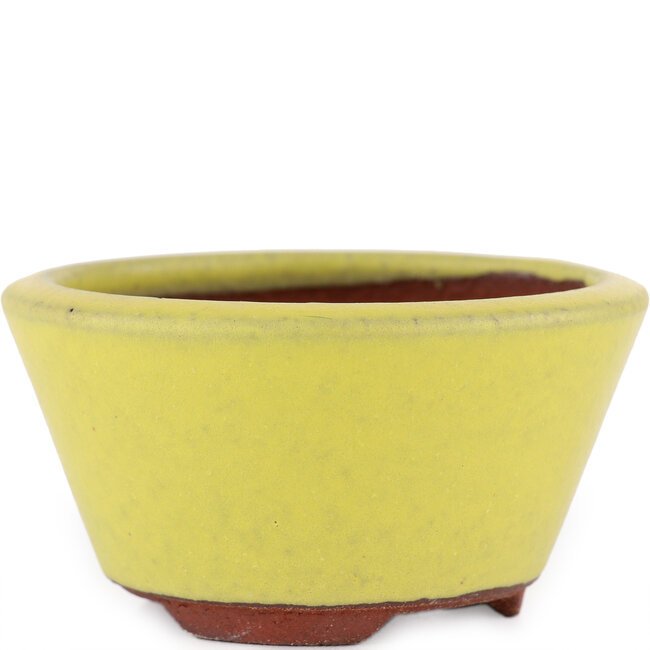 Vaso bonsai rotondo giallo di Eime Yozan - 90 x 90 x 45 mm