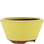 Vaso bonsai rotondo giallo di Eime Yozan - 90 x 90 x 45 mm