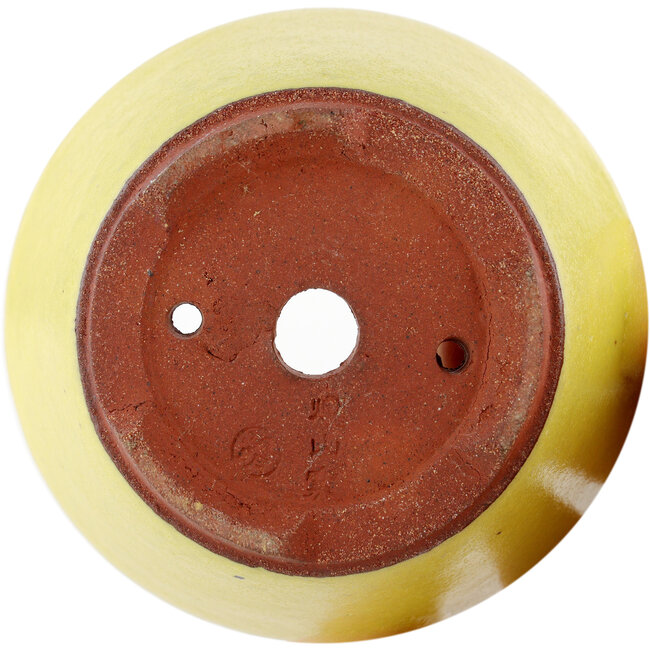 Ronde gele bonsaipot van Eime Yozan - 90 x 90 x 45 mm