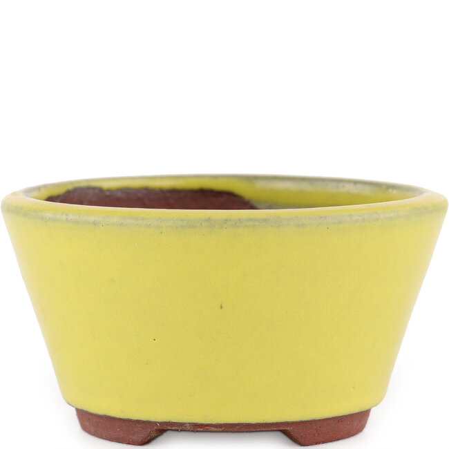 Vaso bonsai rotondo giallo di Eime Yozan - 100 x 100 x 55 mm