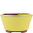 Round yellow bonsai pot by Eime Yozan - 100 x 100 x 55 mm