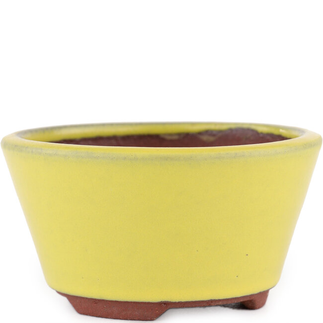 Vaso bonsai rotondo giallo di Eime Yozan - 100 x 100 x 55 mm
