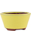 Round yellow bonsai pot by Eime Yozan - 100 x 100 x 55 mm