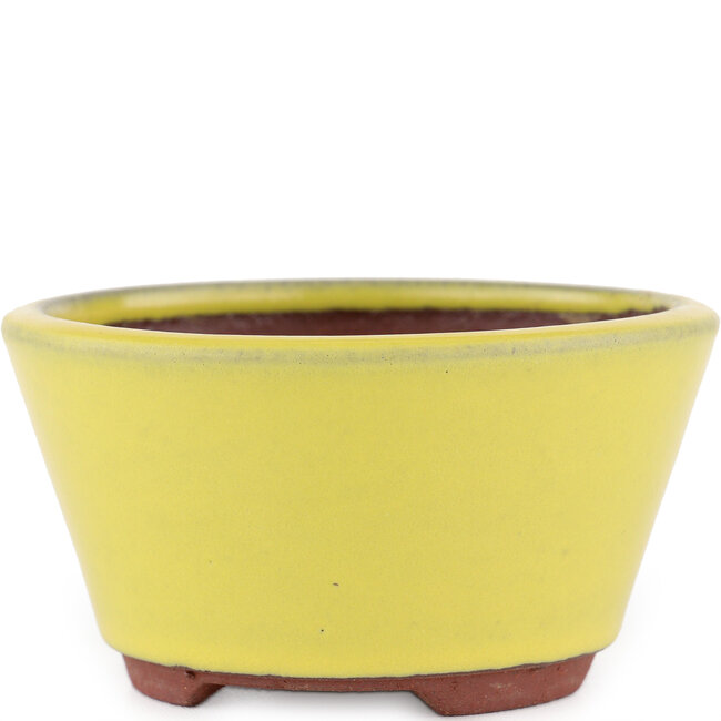 Round yellow bonsai pot by Eime Yozan - 100 x 100 x 55 mm
