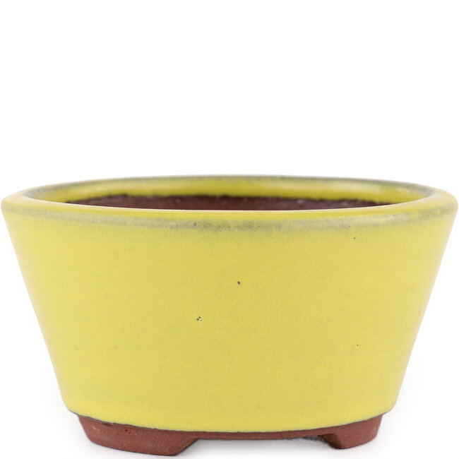 Round yellow bonsai pot by Eime Yozan - 100 x 100 x 55 mm