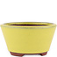 Round yellow bonsai pot by Eime Yozan - 100 x 100 x 55 mm