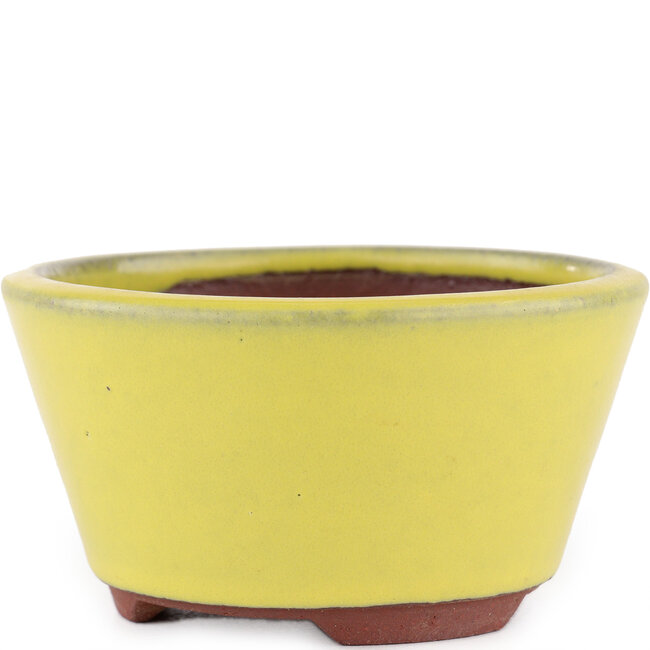 Round yellow bonsai pot by Eime Yozan - 100 x 100 x 55 mm