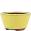 Round yellow bonsai pot by Eime Yozan - 100 x 100 x 55 mm