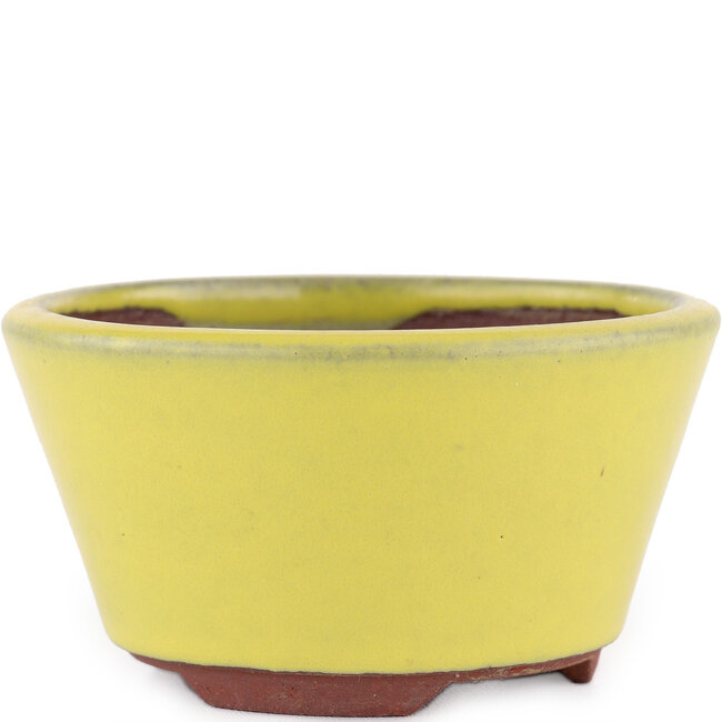 Round yellow bonsai pot by Eime Yozan - 100 x 100 x 55 mm