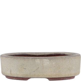  Eimei ( Yozan kiln) Pot à bonsaï beige 115 mm par Eime Yozan, Tokoname, Japon