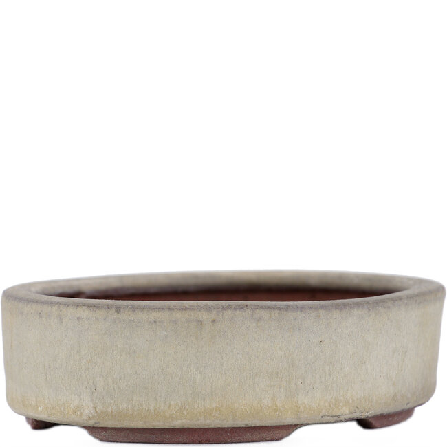 Ovale beige bonsaipot van Eime Yozan - 115 x 85 x 27 mm