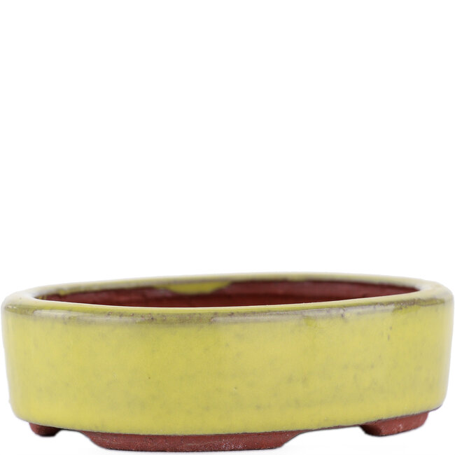 Vaso bonsai ovale giallo di Eime Yozan - 115 x 85 x 27 mm