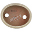 Pot à bonsaï ovale beige par Eime Yozan - 115 x 85 x 27 mm