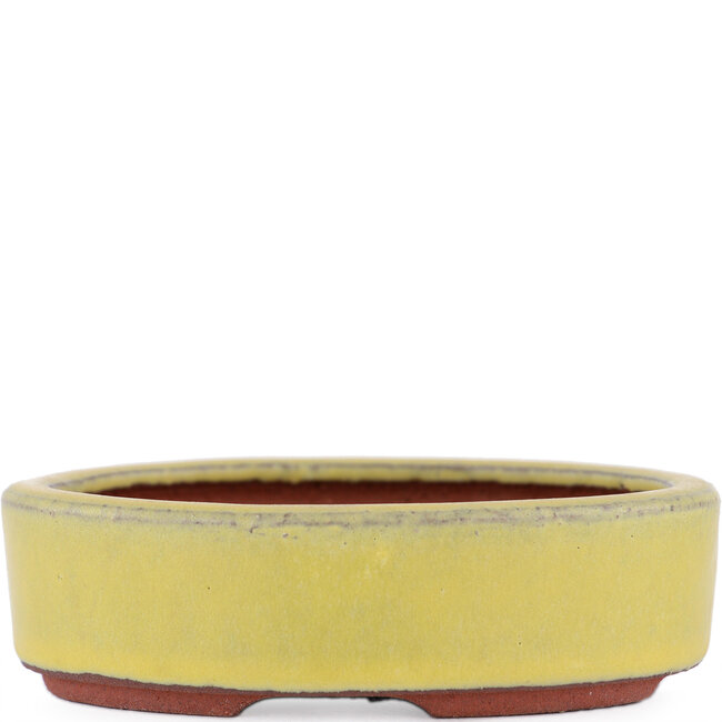 Pot à bonsaï ovale jaune par Eime Yozan - 115 x 85 x 27 mm