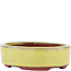 Vaso bonsai ovale giallo di Eime Yozan - 115 x 85 x 27 mm