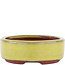 Vaso bonsai ovale giallo di Eime Yozan - 115 x 85 x 27 mm