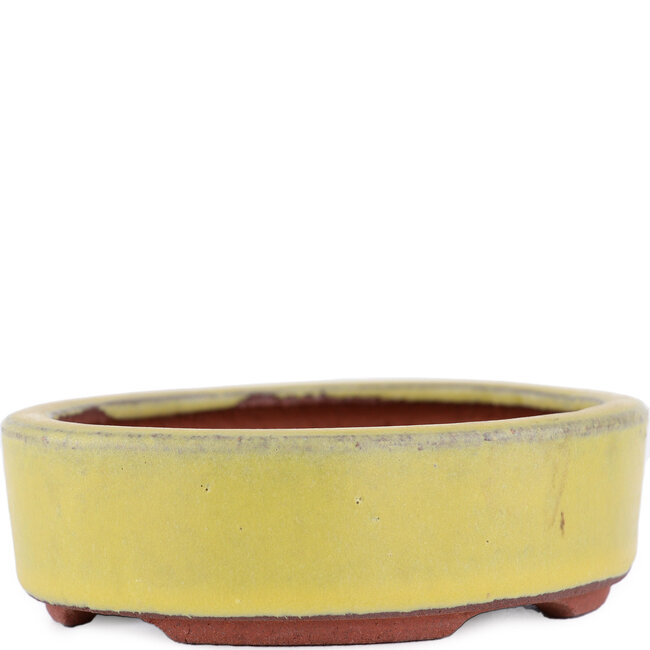 Ovaler gelber Bonsaitopf von Eime Yozan – 115 x 85 x 27 mm