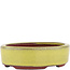 Vaso bonsai ovale giallo di Eime Yozan - 115 x 85 x 27 mm