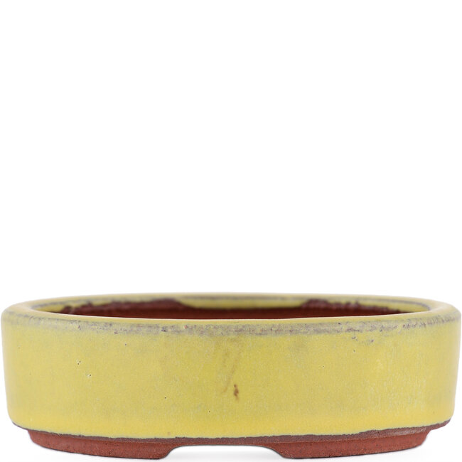 Oval yellow bonsai pot by Eime Yozan - 115 x 85 x 27 mm