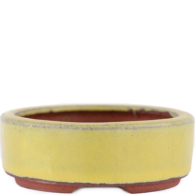 Oval yellow bonsai pot by Eime Yozan - 115 x 85 x 27 mm