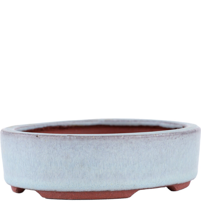 Vaso bonsai ovale blu di Eime Yozan - 120 x 100 x 32 mm