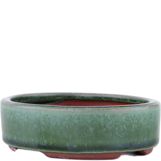 Ovale groene bonsaipot van Eime Yozan - 112 x 95 x 31 mm