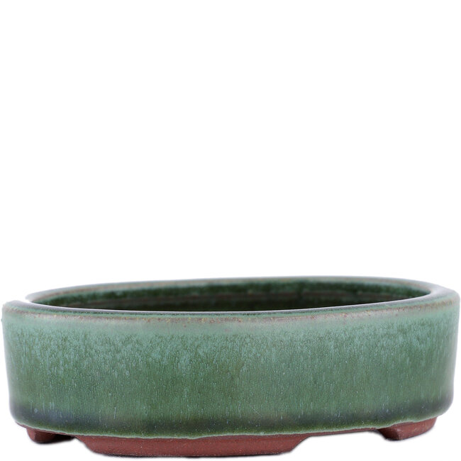 Vaso bonsai ovale verde di Eime Yozan - 112 x 95 x 31 mm