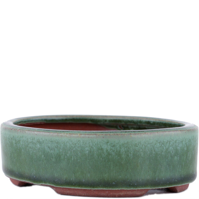 Vaso bonsai ovale verde di Eime Yozan - 112 x 95 x 31 mm