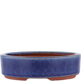  Eimei ( Yozan kiln) Pot à bonsaï bleu 120 mm par Eime Yozan, Tokoname, Japon