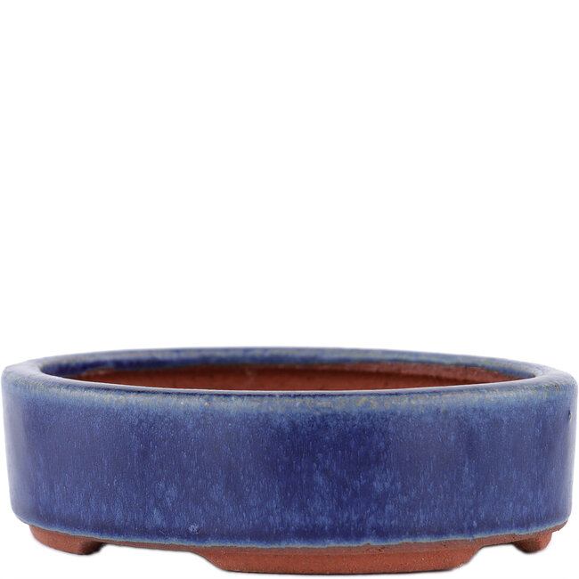 Oval blue bonsai pot by Eime Yozan - 120 x 100 x 32 mm