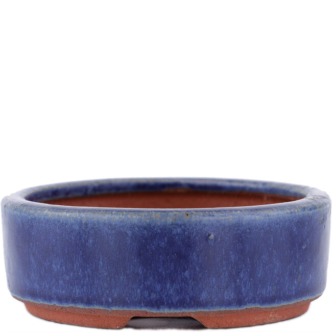 Vaso bonsai ovale blu di Eime Yozan - 120 x 100 x 32 mm