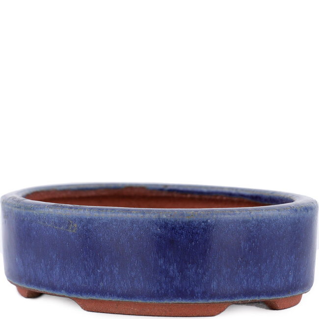 Vaso bonsai ovale blu di Eime Yozan - 120 x 100 x 32 mm