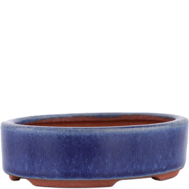 Vaso bonsai ovale blu di Eime Yozan - 120 x 100 x 32 mm