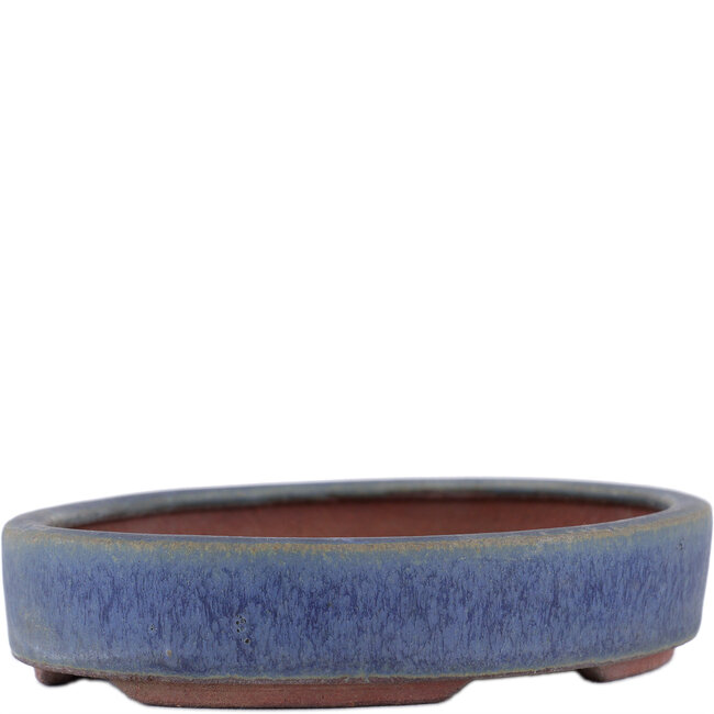 Oval blue bonsai pot by Eime Yozan - 135 x 110 x 26 mm