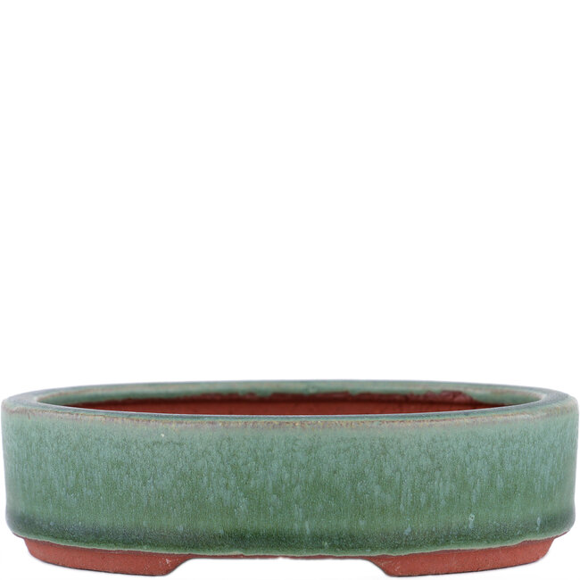 Pot à bonsaï ovale vert par Eime Yozan - 140 x 110 x 35 mm