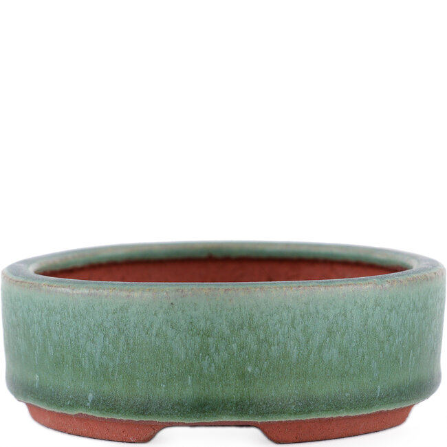 Vaso bonsai ovale verde di Eime Yozan - 140 x 110 x 35 mm