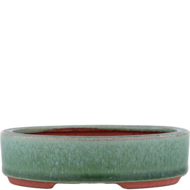 Ovale groene bonsaipot van Eime Yozan - 140 x 110 x 35 mm