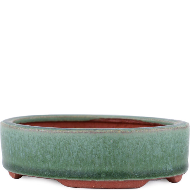 Vaso bonsai ovale verde di Eime Yozan - 140 x 110 x 35 mm