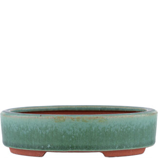 Eimei ( Yozan kiln) Maceta para bonsái verde de 150 mm de Eime Yozan, Tokoname, Japón