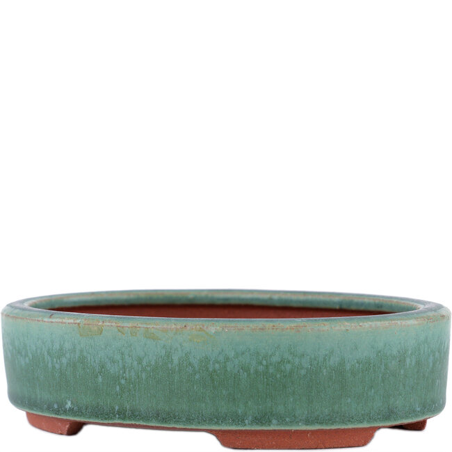 Oval green bonsai pot by Eime Yozan - 150 x 115 x 37 mm