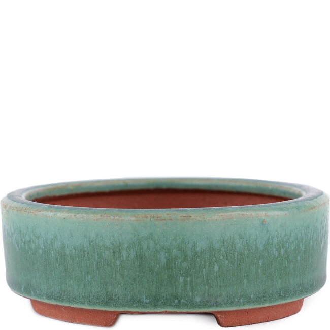 Ovale groene bonsaipot van Eime Yozan - 150 x 115 x 37 mm