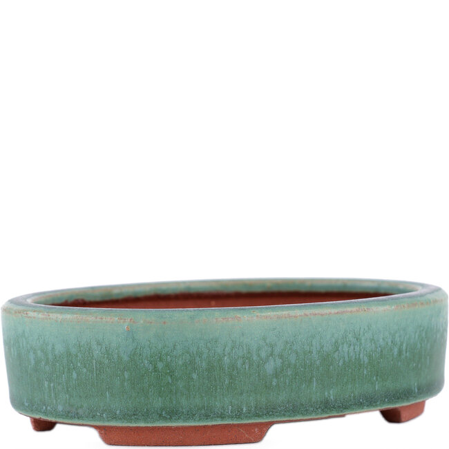Oval green bonsai pot by Eime Yozan - 150 x 115 x 37 mm