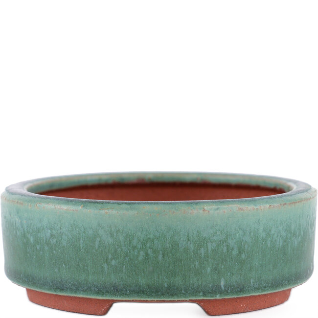 Pot à bonsaï ovale vert par Eime Yozan - 150 x 115 x 37 mm