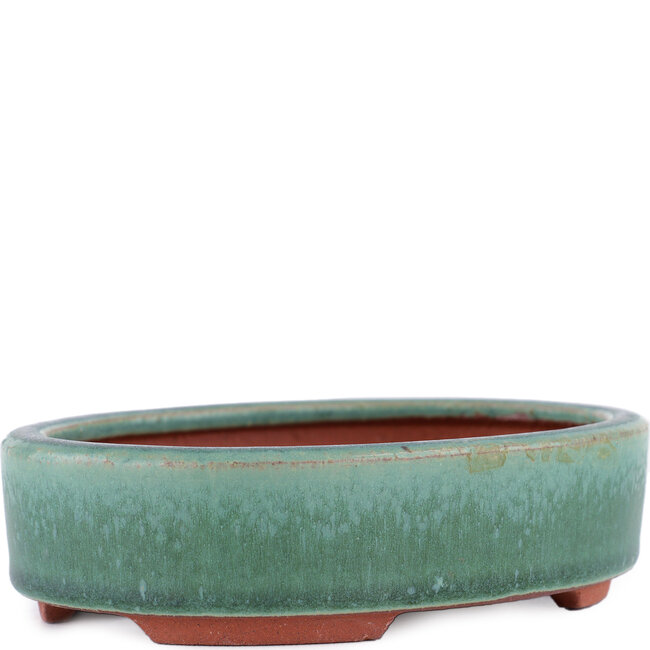 Oval green bonsai pot by Eime Yozan - 150 x 115 x 37 mm