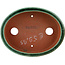 Pot à bonsaï ovale vert par Eime Yozan - 150 x 115 x 37 mm
