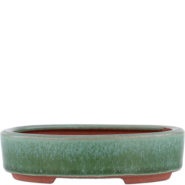 Oval green bonsai pot by Eime Yozan - 150 x 115 x 37 mm